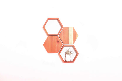 Hexagon Shelf Kit - WeekendWalls